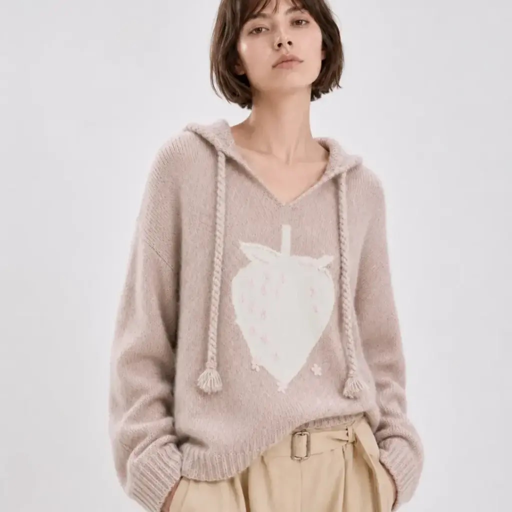 embroidery wool hooded sweater product image