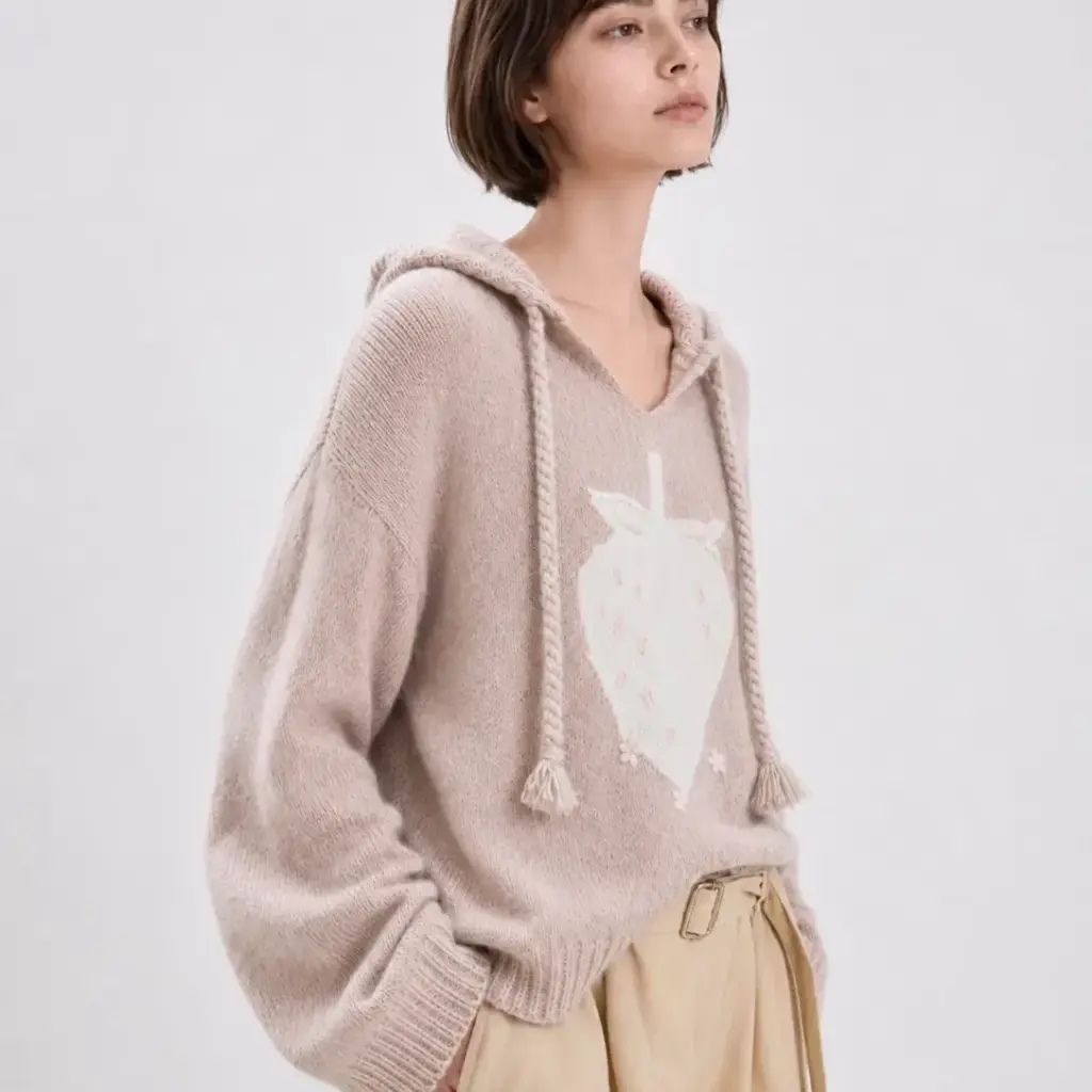 strawberry embroidery wool hooded sweater